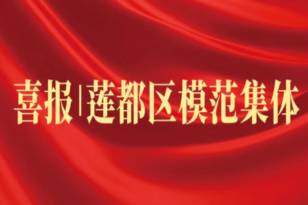 喜報丨浙江中立建設(shè)榮獲蓮都區(qū)“模范集體”稱號！